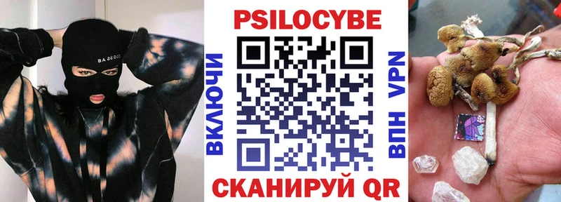 где продают Павловск Галлюциногенные грибы мицелий